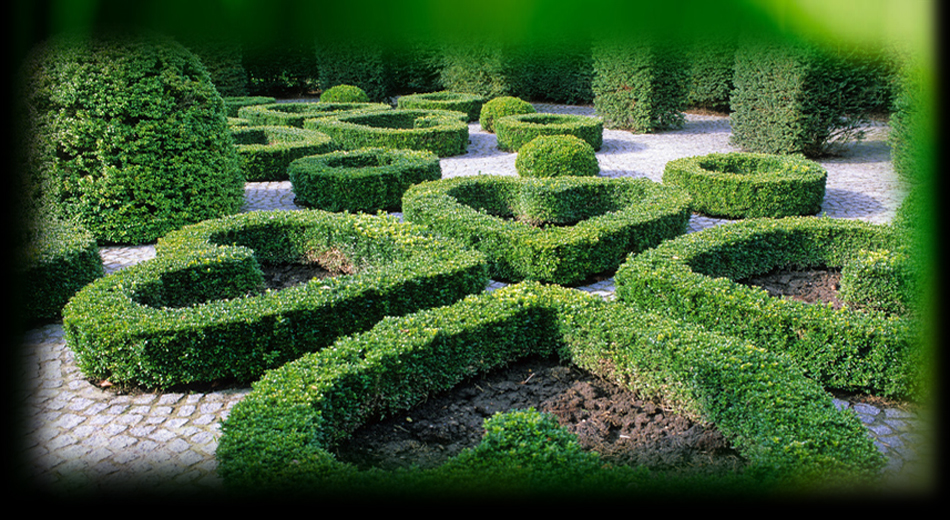 Jardin Devis Paysagiste Cr�ation Topiaires Am�nagement Ext�rieur