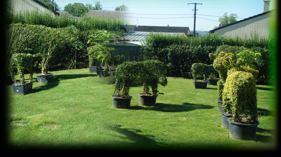 Jardin Devis Paysagiste Cr�ation Topiaires Am�nagement Ext�rieur