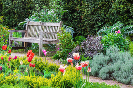 Création de jardin anglais 